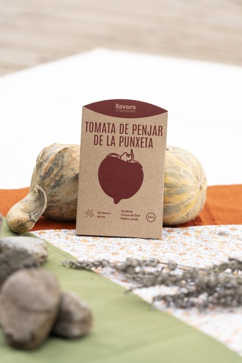 [Preu particulars] Llavors de tomata de penjar de la punxeta